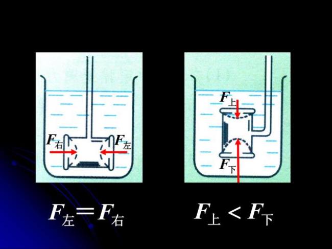 重力与浮力在水中沉浮的原因