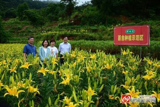 湖南怀化中草药市场在哪地方