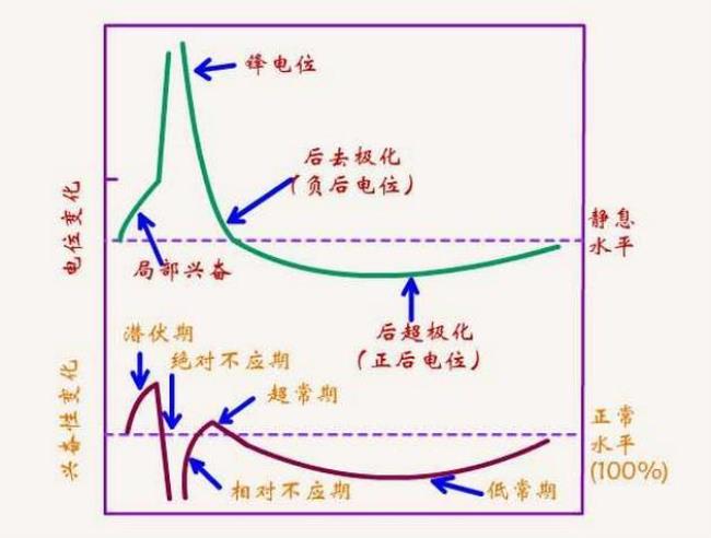 离子极化后的影响