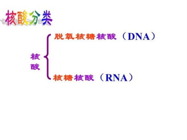 人工合成的遗传物质是什么