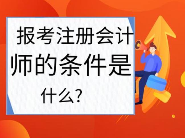 什么是注册会计师