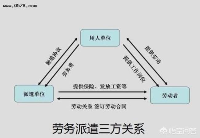 劳务编制什么意思