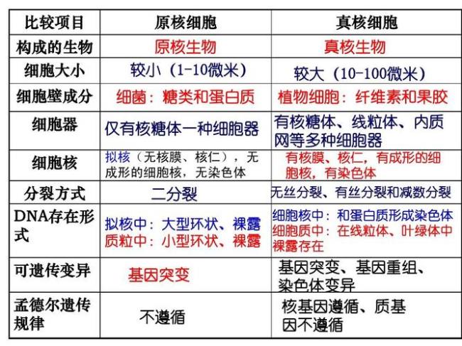 原核生物分哪几类