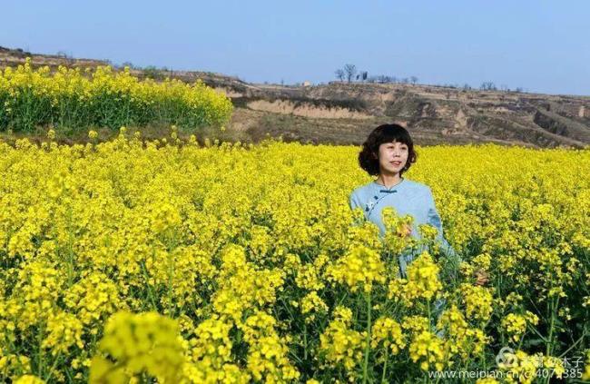 什么的春风拂过了什么的大地