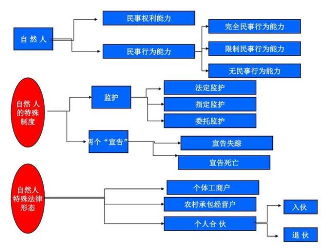 中国所有法律分类