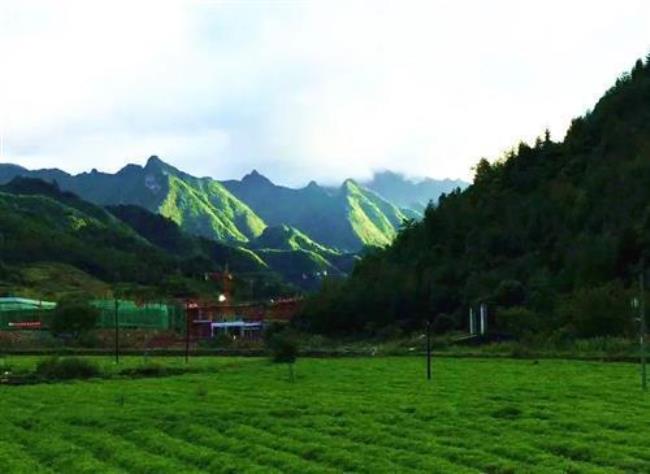 陇南十大景点海拔多高