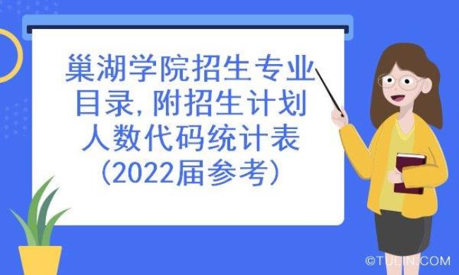 巢湖学院在安徽排多少名