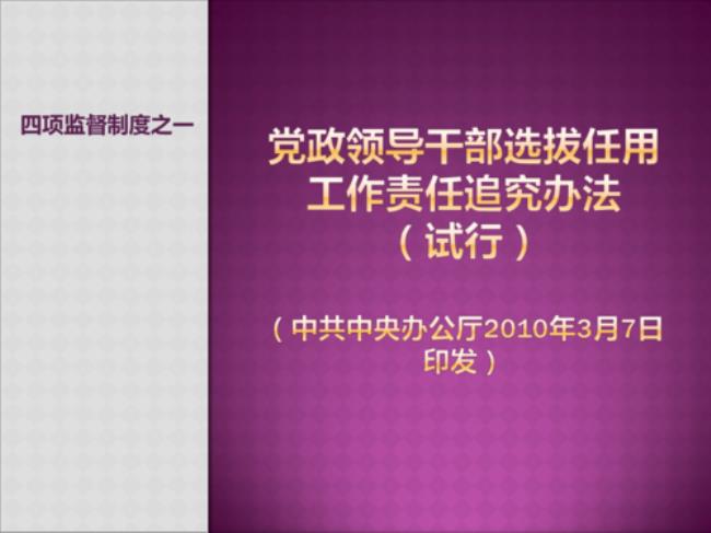 乡镇党政领导干部提拔任用条例