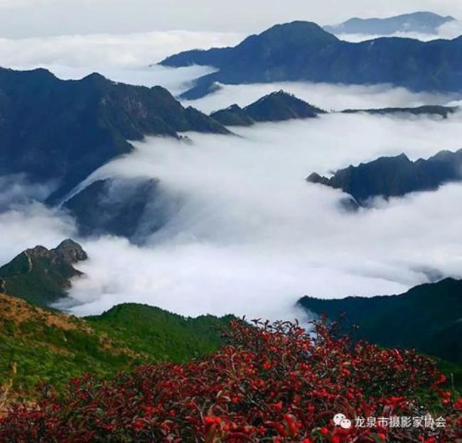 丽水龙泉市区海拔多少