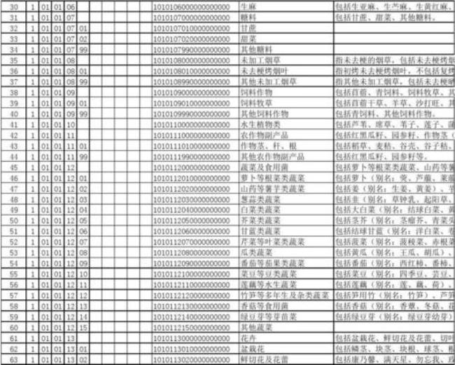 税务分类编码是什么