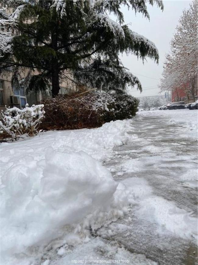 北京每年都有雪吗