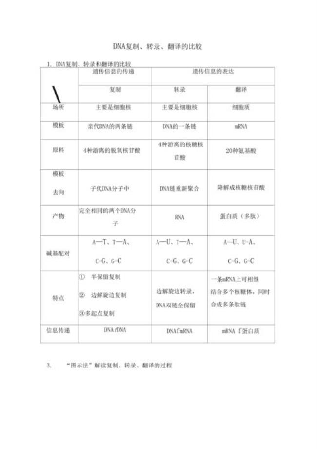 DNA的复制与RNA的转录有何异同点