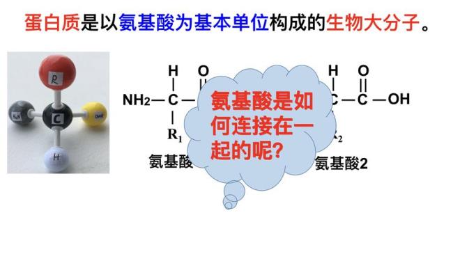 分子上面的单位是怎样的