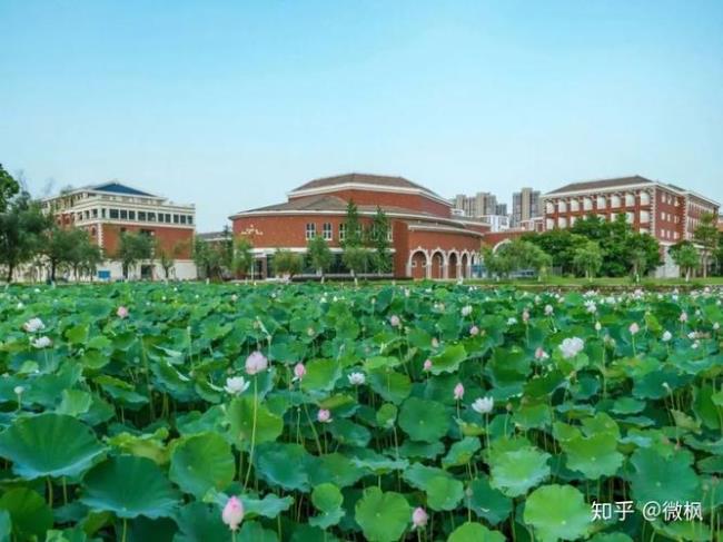 福建师范大学在河南省怎么样