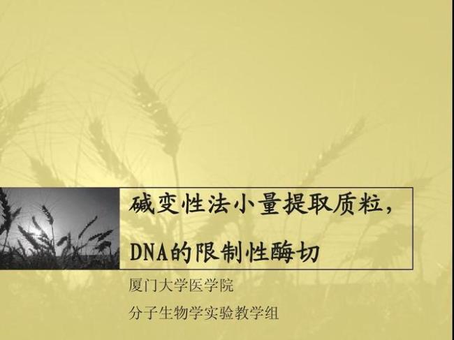 dna变性后为什么溶液粘度增大