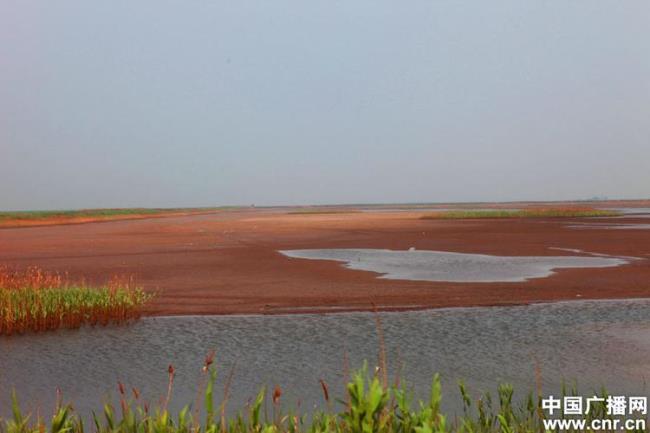 辽河的发源地和入海口