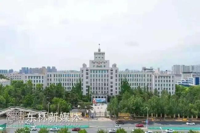 上海大学和东北林业大学哪个好