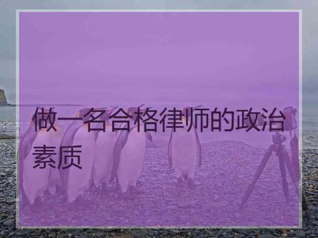 公民的政治法律素质