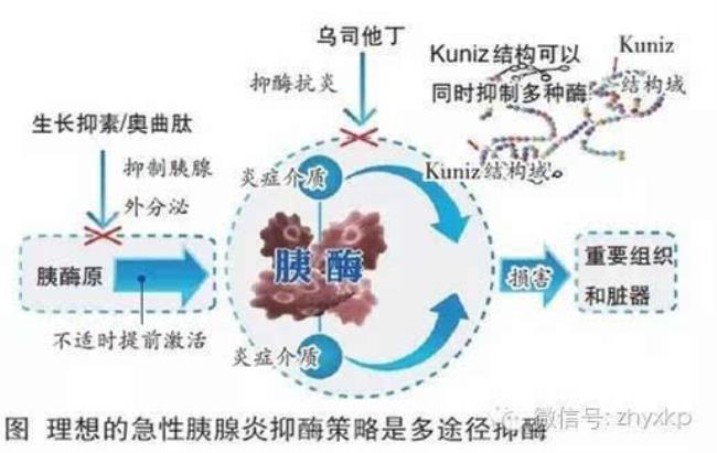 氮负平衡是什么意思翱