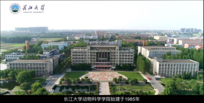 长江大学与哪些大学是一个档次