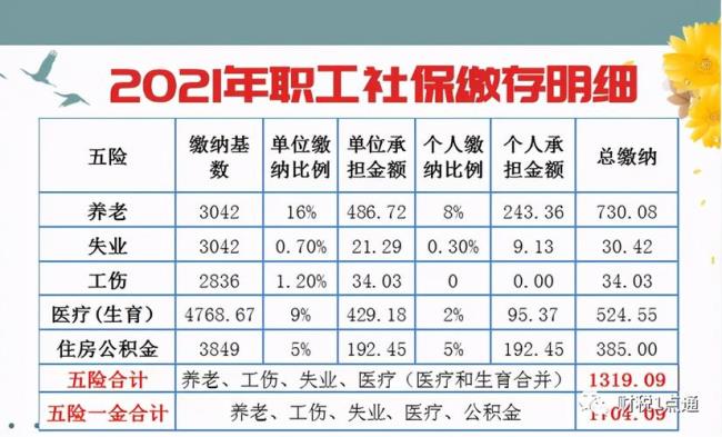 企查查企业社保人数多久更新