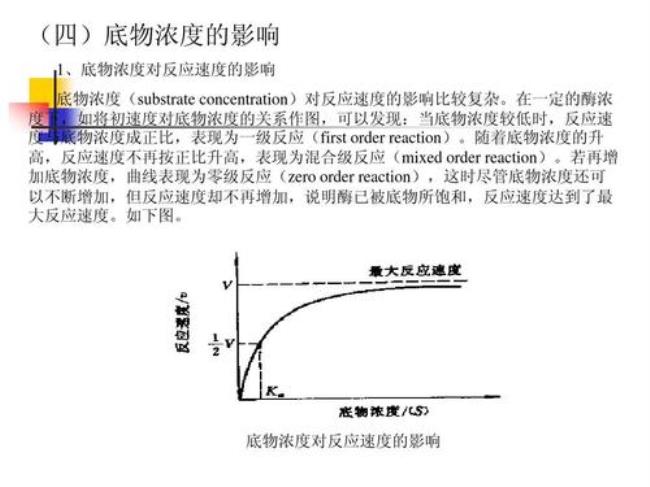 为什么km与酶的浓度无关