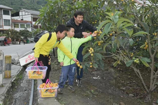 茅坝镇在哪里