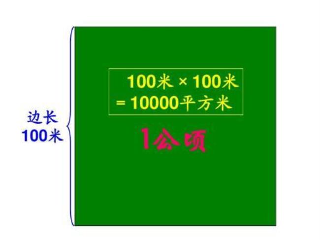 1平方cm等于多少平方mm