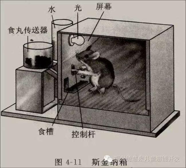 什么是饥饿试验如何应用