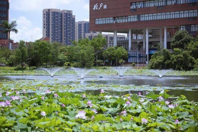 珠海城市职业技术学院难进吗