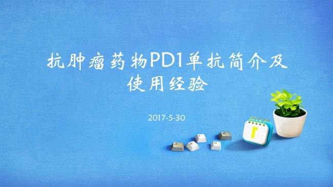 pd1是什么意思