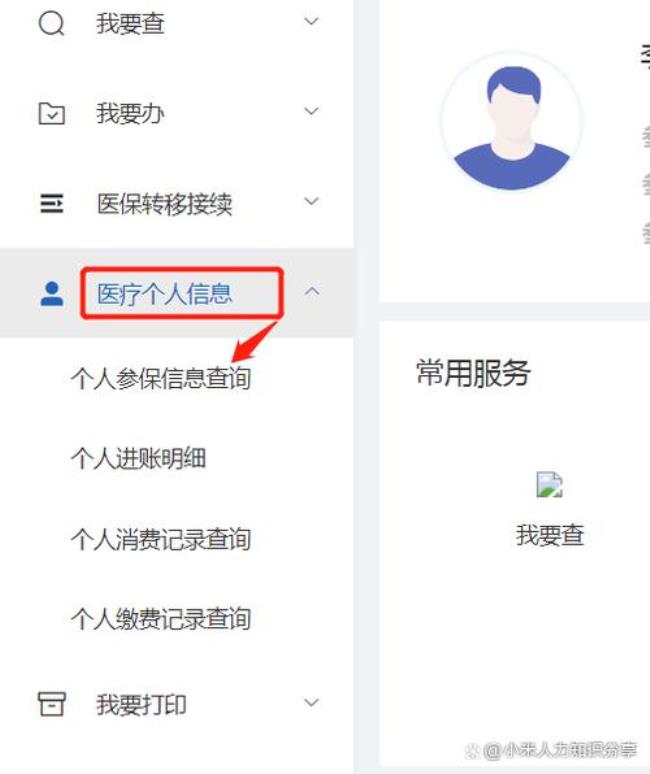 在沈阳医保信息怎么查