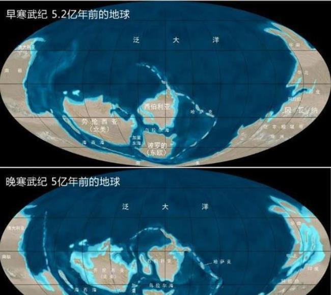 为什么地球板块和大陆会移动