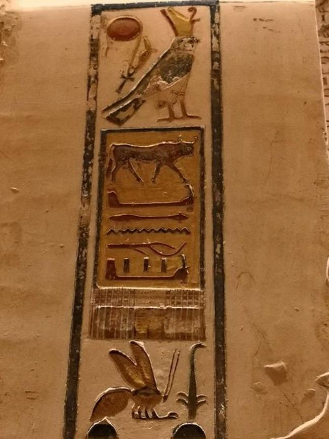 古埃及什么鸟是正义的象征