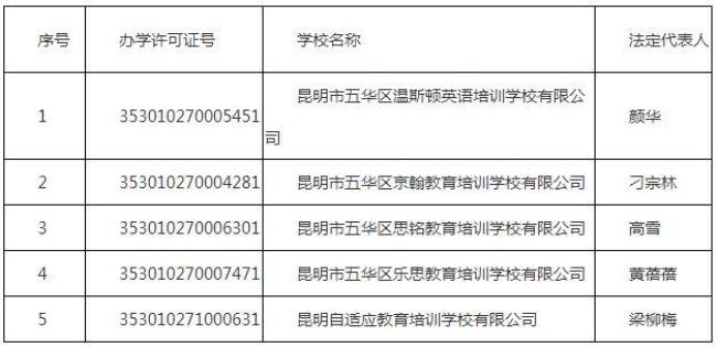 云南十大民办教育集团