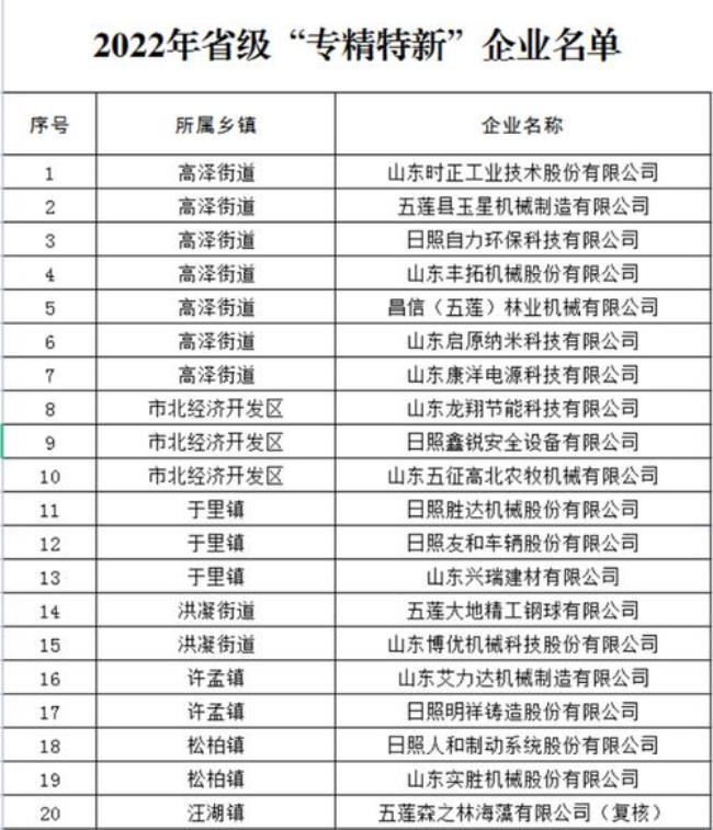 山东省内排名前二十位公司