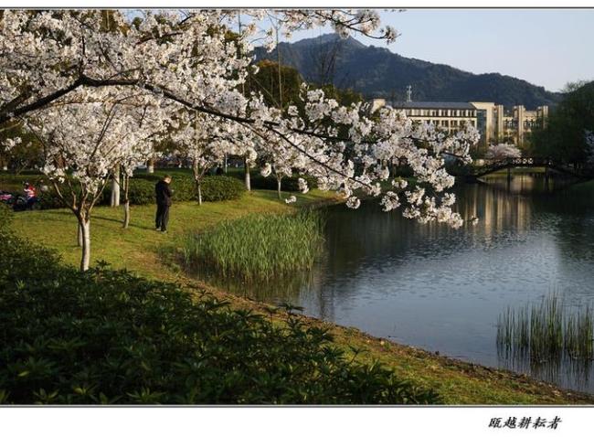 浙工大屏峰校区在郊区