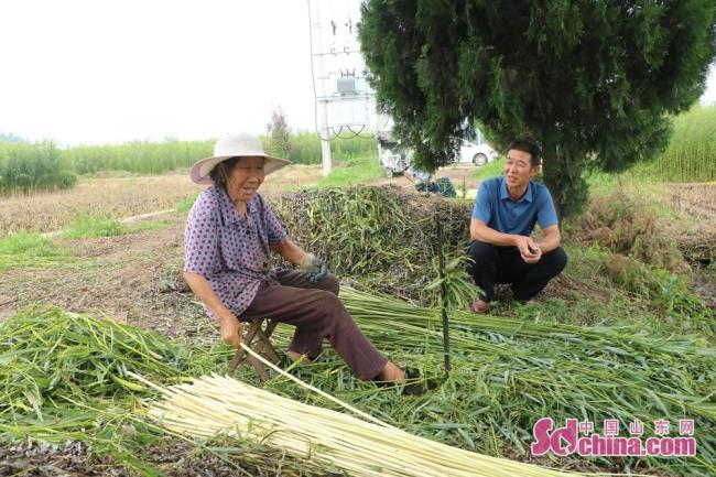 中国杞柳之乡是那里