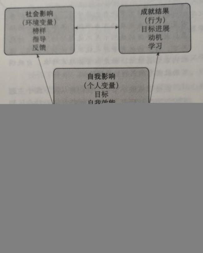 个体因素决定论