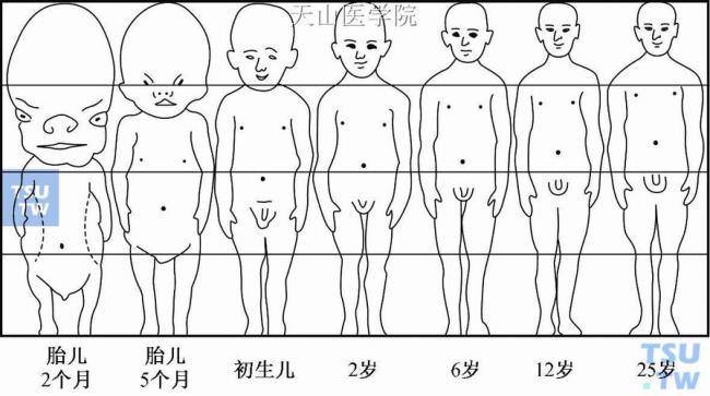 个体的生长和发育有什么联系