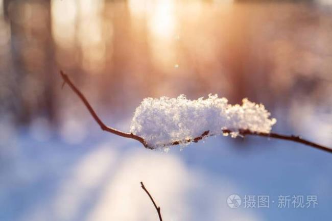 雪花遇到凉水会怎样