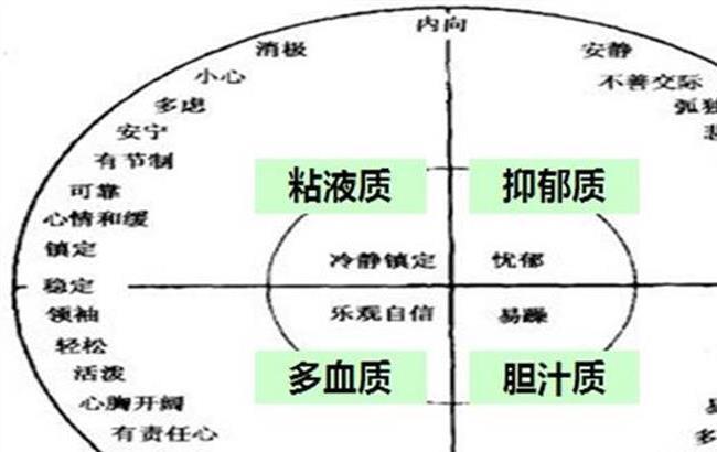 多血型性格胆汁型性格