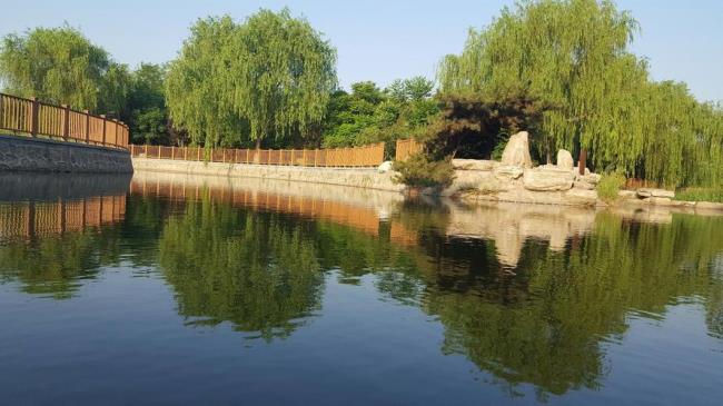沧州市御河公园位于啥地方