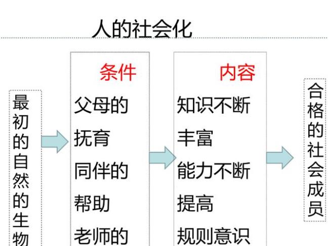 为什么要有社会行为