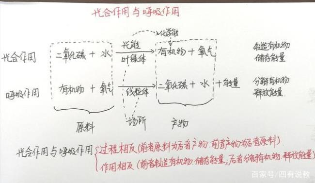 光反应的意义包括