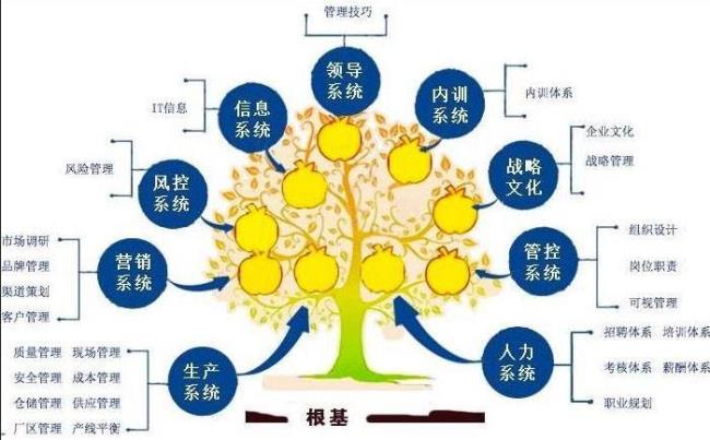 企业管理和服务管理区别