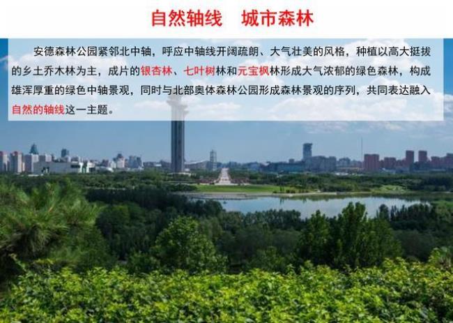 什么成语可以形容森林公园