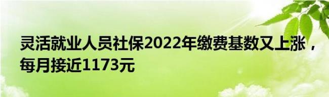 2022年灵活就业人能补交社保吗