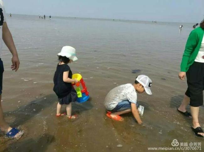 8月份赶海的最佳时间