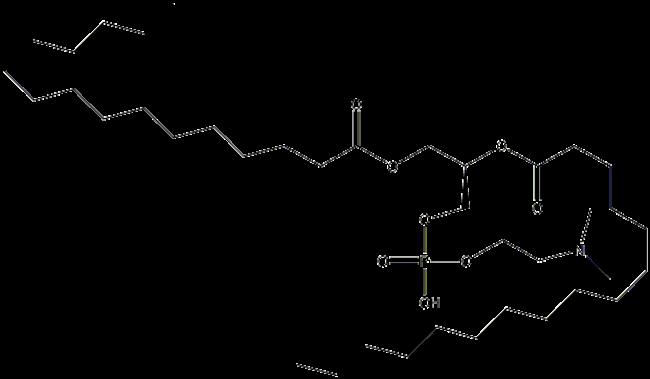 二酰甘油是不是两性分子